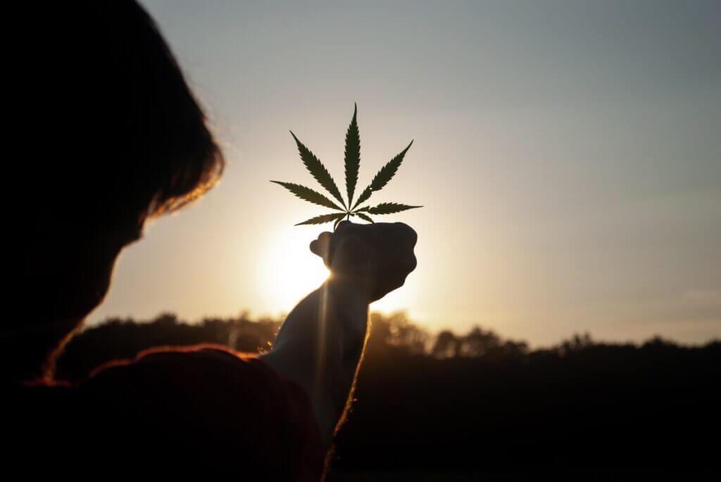 Holding a cannabis leaf