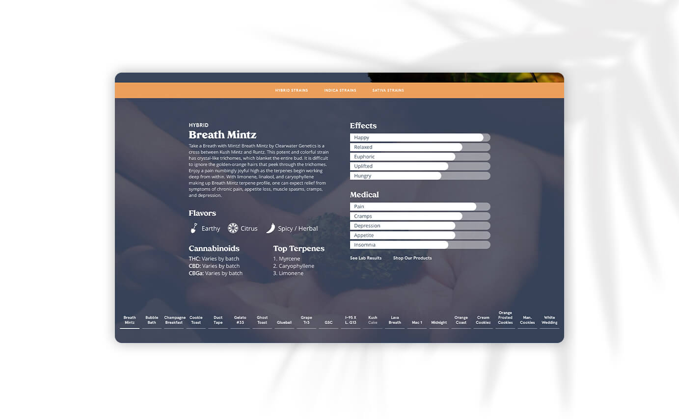VidaCann Cannabis Dispensary Website Design - Strain Page