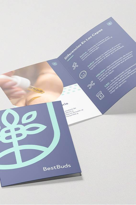 Best Buds Cannabis Dispensary Branding - Booklet Design