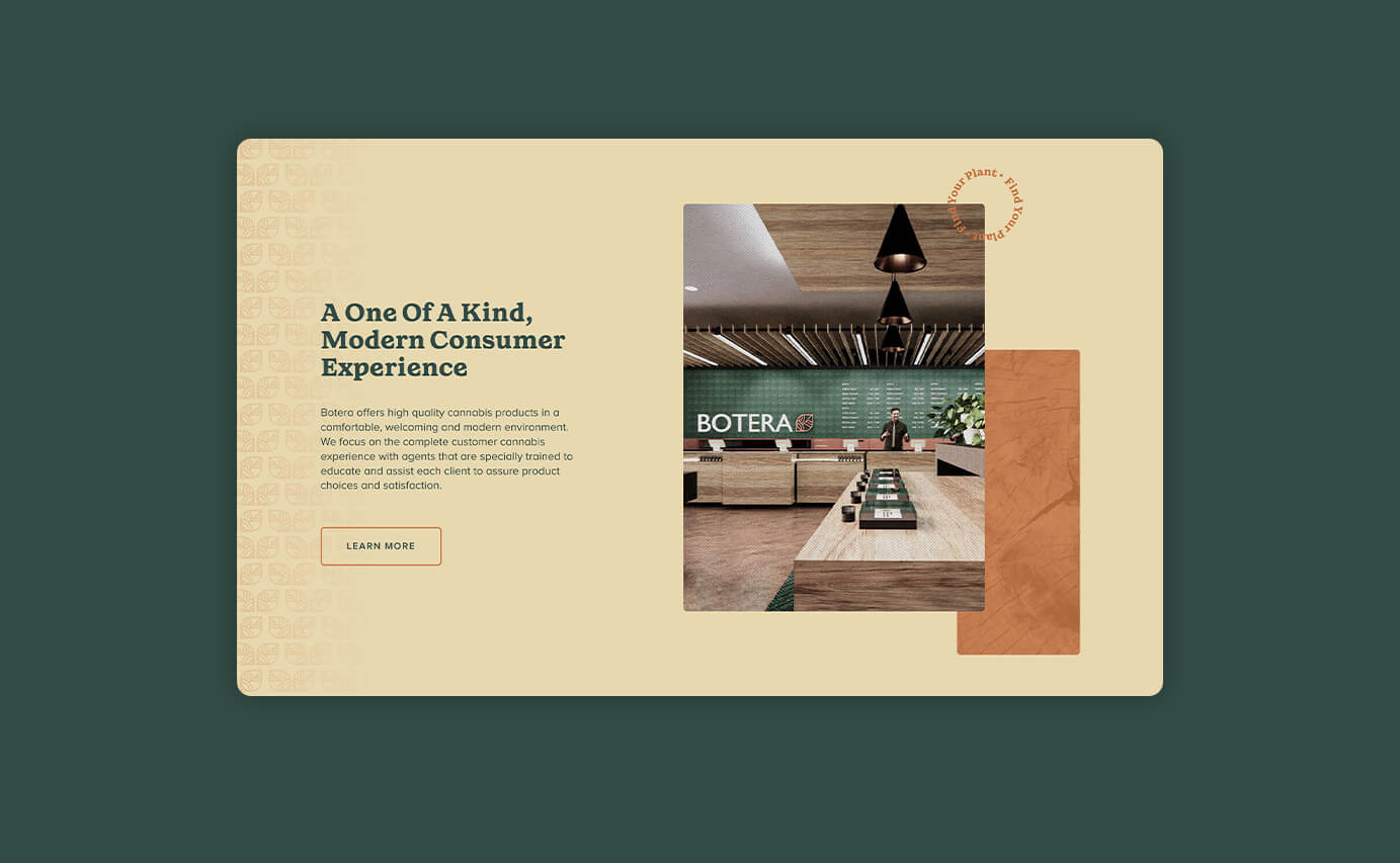 Botera Cannabis Dispensary Website Design - About The Dispensary Section