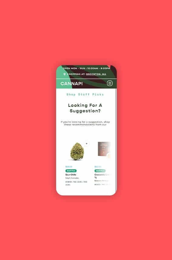 Cannapi Cannabis Dispensary Website Design - Looking for Suggestion Section