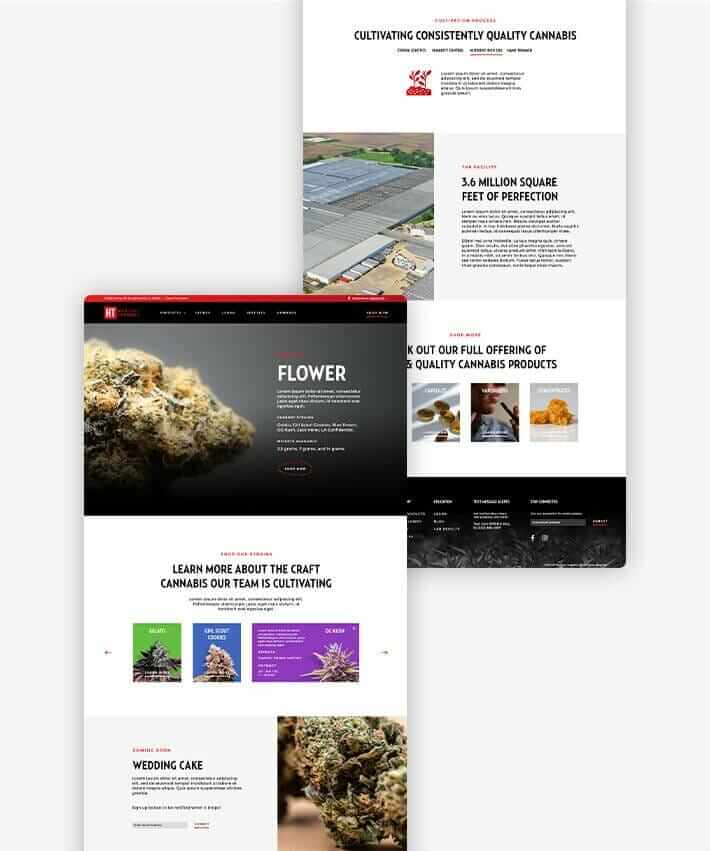 High Times Cannabis Dispensary Website Design - Full Product Page