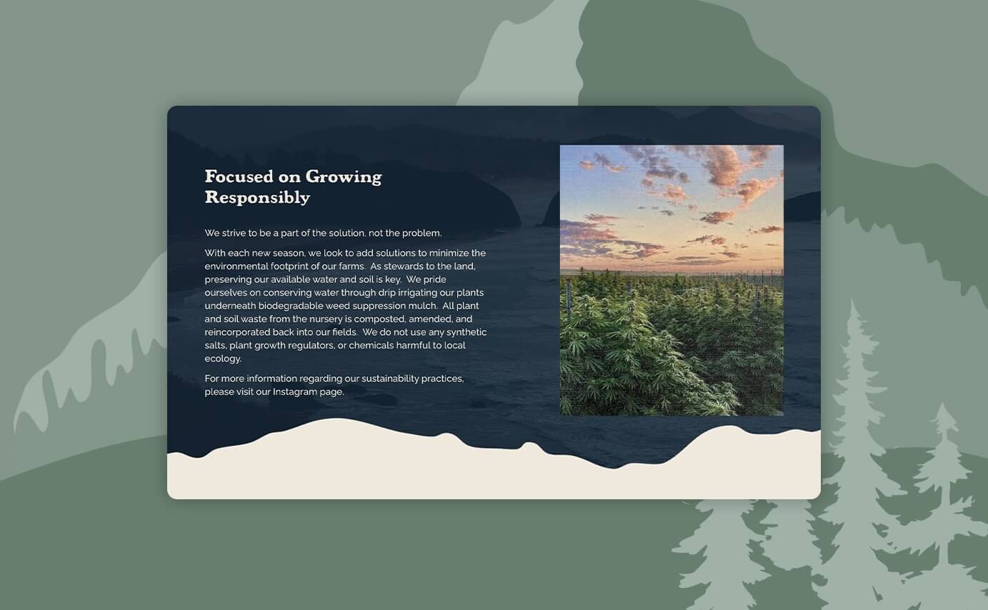 Pacific & Pine Cannabis Website Design About Page