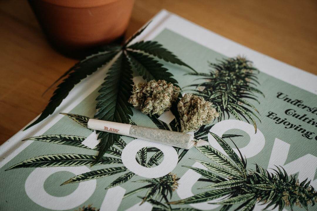 Cannabis Magazine Design
