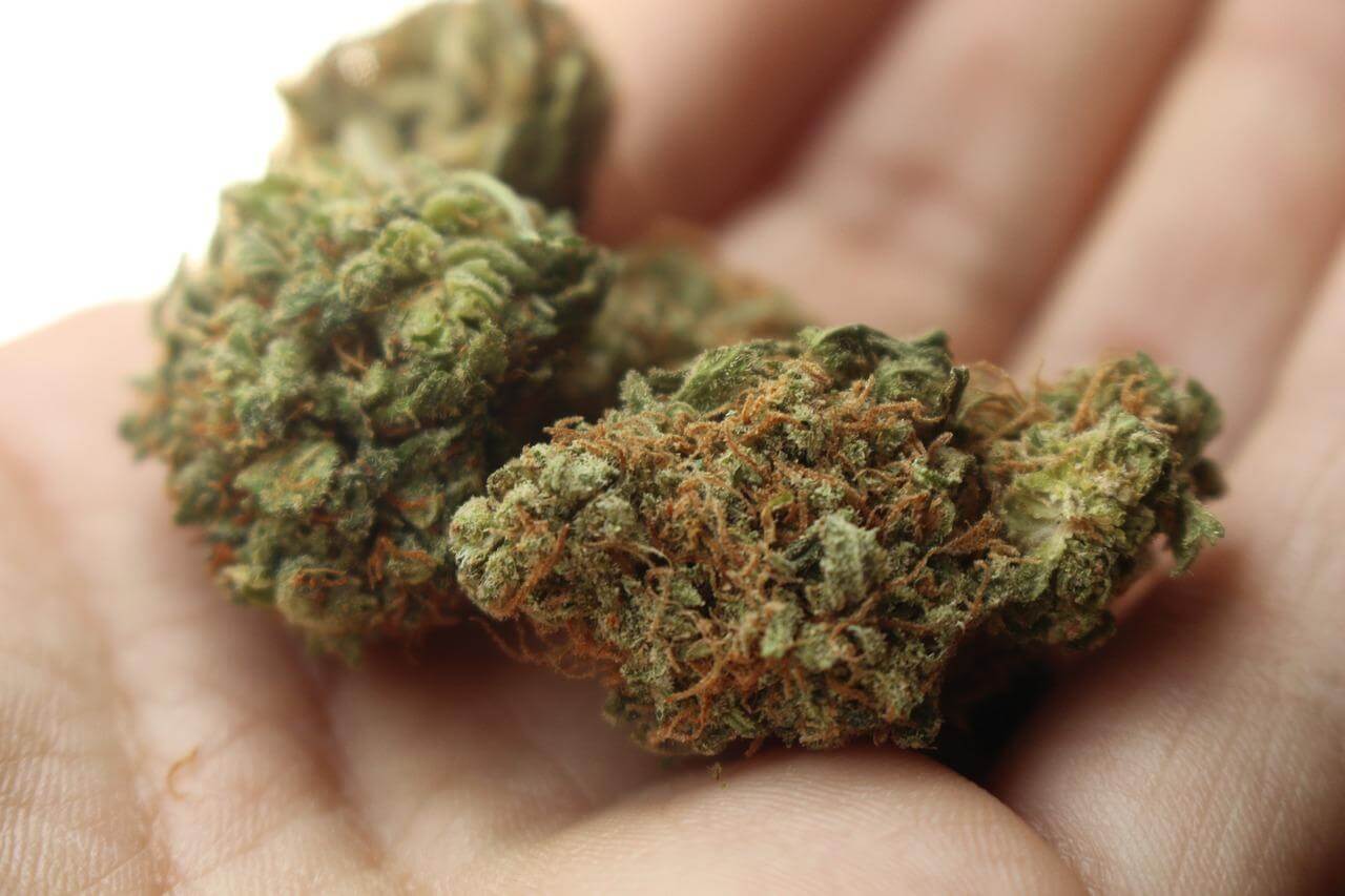 Creative Marijuana Marketing Ideas