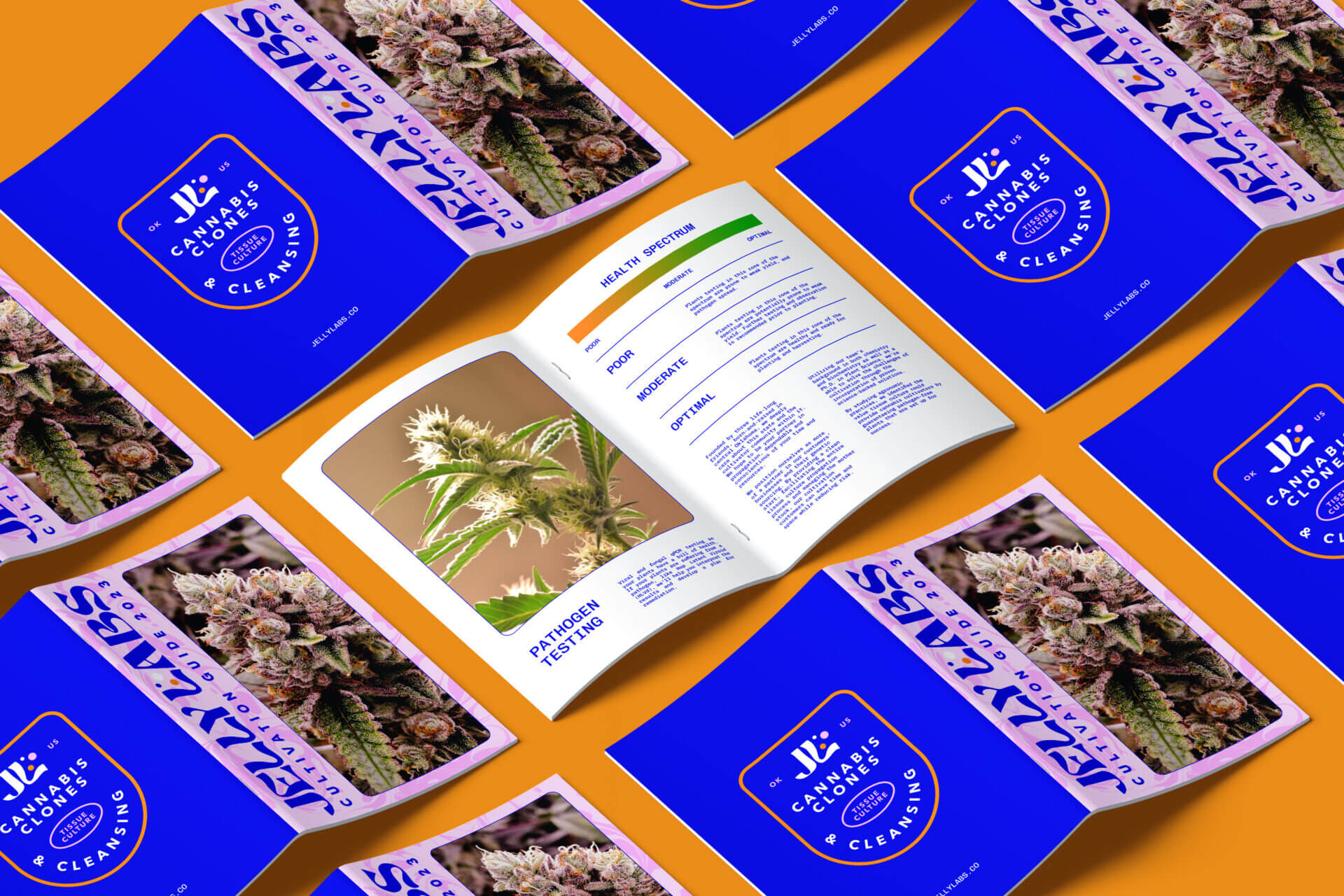 Jelly Labs | Cannabis Booklet Design
