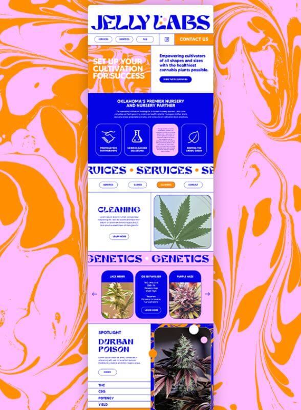 Jelly Labs | Cannabis Ancillary Website Design