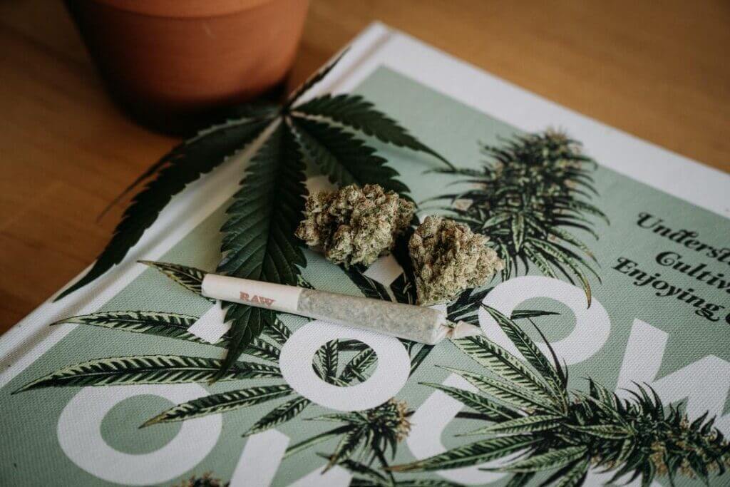 The_Future_of_Cannabis_Branding_Trends_to_Watch_Image